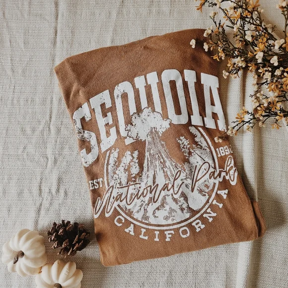Womens Size Medium Short Sleeve Sequoia National Park Brown Graphic Tee - Picture 2 of 6